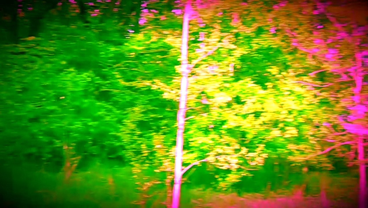 The call of the cuckoo