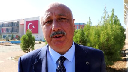 Fidan dikim alanı düzenlemesi sırasında mezar bulundu - BATMAN