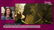 Holiday in the Wild's Kristin Davis Hopes to Change the Way Hollywood Works with Animals