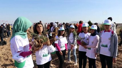 '11 Milyon Ağaç; Bugün Fidan, Yarın Nefes' programı - BURDUR