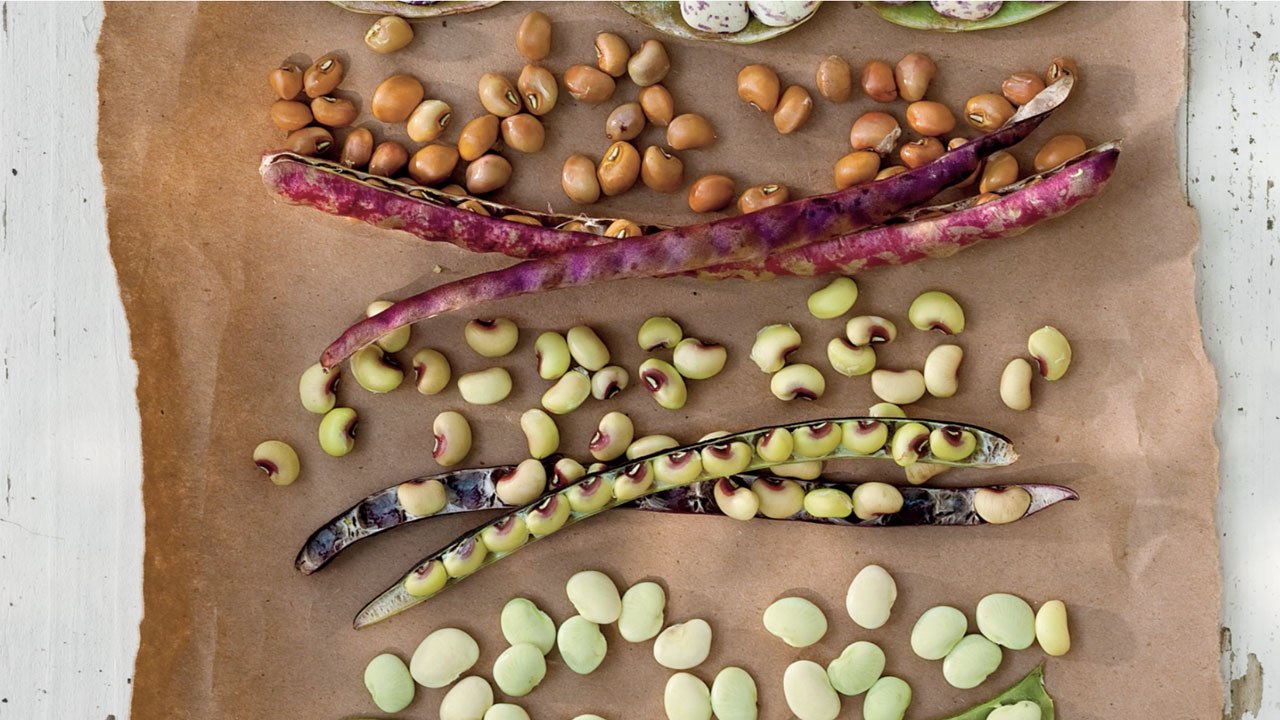Put Up Your Peas!