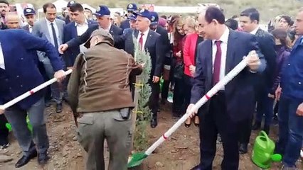 Soma'da 20 bin fidan toprakla buluştu - MANİSA