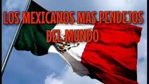LOS MEXICANOS MAS PENDEJOS DEL MUNDO ( 234 X 426 )
