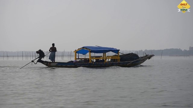 'CHILIKA LAKE' BOAT RIDING - Dolphins and Bird Sanctuary | Odisha Tourism