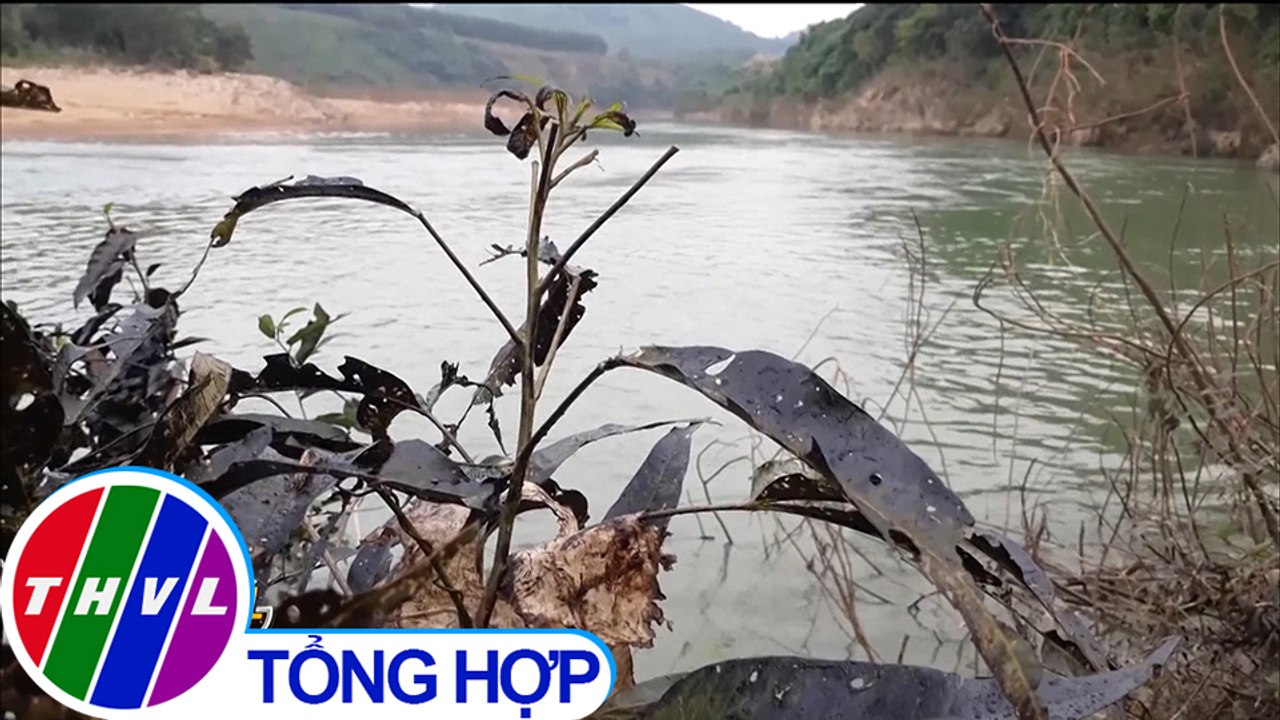 Hơn 200 lít dầu FO bị phát tán ra đầu nguồn sông Hiếu tại Quảng Trị