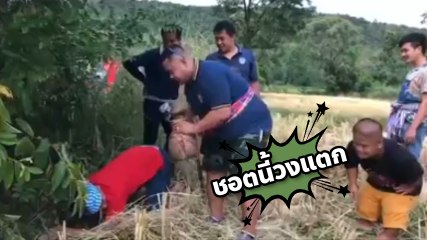 วงแตก !! ชอตสุดขำ จับกบได้งู ยื่นให้ถือวิ่งกำแน่นไม่ปล่อยด้วยนะ