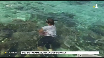 Papara: Peu de Taramea, beaucoup de pneus