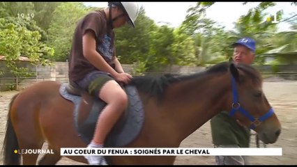 Au cœur du fenua : les malades murmurent aux oreilles des chevaux
