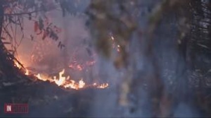 Repotnya Memadamkan Kebakaran di Lahan Gambut