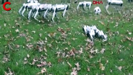 ABD’de robotlar futbol oynadı