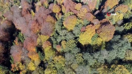 Karadeniz Yaylalarında Sonbahar Havadan Görüntülendi