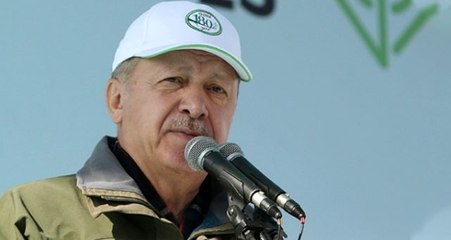 Türkiye, Çorum'da diktiği 303 bin fidanla, ağaç dikmede Guinness rekorunu kırdı