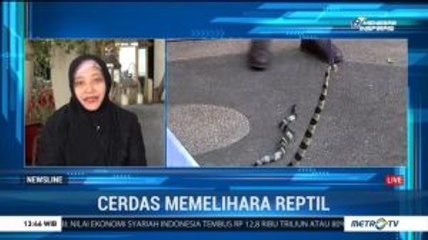 Tải video: Cerdas Memelihara Reptil