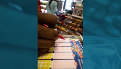 Un gagnant belge au rang 2 du tirage du 24 septembre à l’EuroMillions vient de sortir du bois