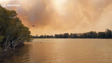 Skycrane helicopter fighting Australia bushfires refills water on the Manning River