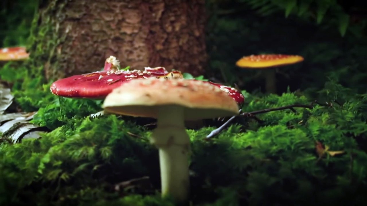 300 millones de años 1 2 La gran colisión [ HD ] - Documental