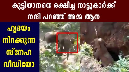 Viral video of mother elephant showing thanks for saving her kid | Oneindia Malayalam