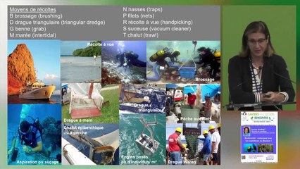 Pascale JOANNOT – Biodiversité : embarquez pour les expéditions du Muséum ! [2e part]