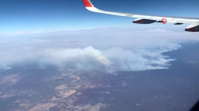 - Avustralya'daki orman yangınları Yeni Zelanda'ya doğru ilerliyor