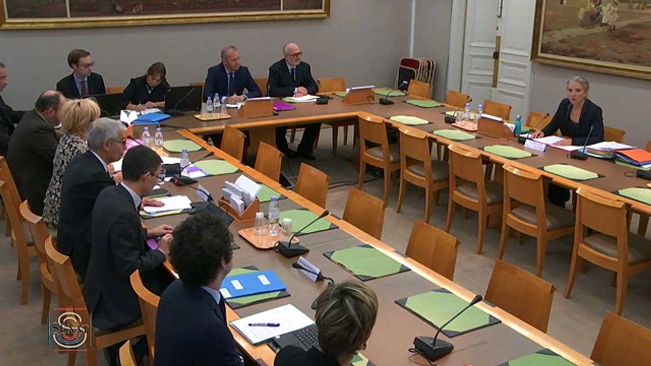 Lubrizol : audition de Delphine Batho devant la commission d’enquête du Sénat