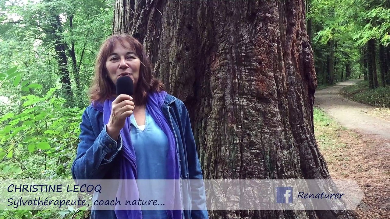 PEUT-ON COMMUNIQUER AVEC UN ARBRE - CHRISTINE LECOQ [INTERVIEW]