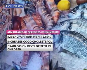 NAFDAC warns against use of strong chemicals for Seafood preservation