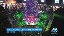 Californie : le plus grand sapin de Noël naturel au monde vient d’être installer