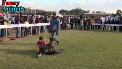 Funny Baby Playing With Baby Animals - Funny Fails Baby HD