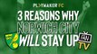 Fan TV | 3 Reasons why Norwich City WILL avoid relegation