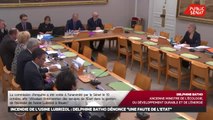 Lubrizol : la commission d'enquête du sénat auditionne delphine batho et corinne - Les matins du Sénat (12/11/2019)