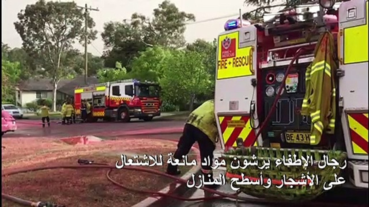 حرائق الغابات في أستراليا تصل إلى ضواحي سيدني
