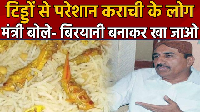 Karachi: Locusts से परेशान लोग, Imran के Minister बोले- Biryani बनाकर खा जाओ । वनइंडिया हिंदी