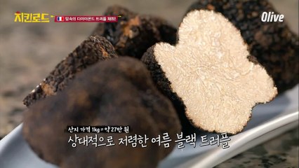 트러플을 직접 채취하는 프랑스 농장!! (너무 신기해..!!)