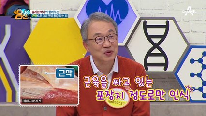 '세계적인 통증 치료 권위자' 슐라입 박사와 함께하는 3대 관절 통증 잡는 법!