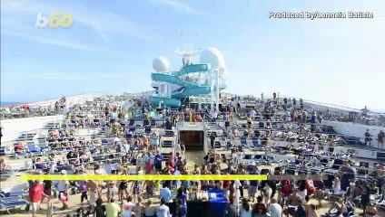 The Best Cruise Ships For The Money, Family, Couples and More!