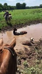Man Takes Mud Bath on Horseback