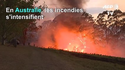 Australie: les incendies se rapprochent de Sydney
