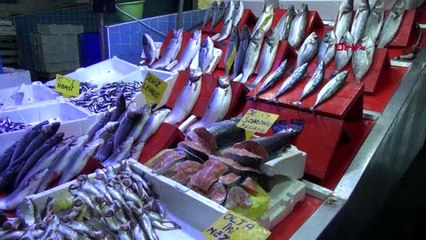 Samsun az avlanan palamudun fiyatı arttı