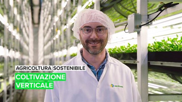 Agricoltura sostenibile: coltivazione verticale