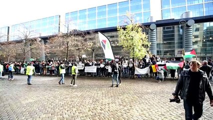 Belçika'da Filistinli sığınmacılardan gösteri