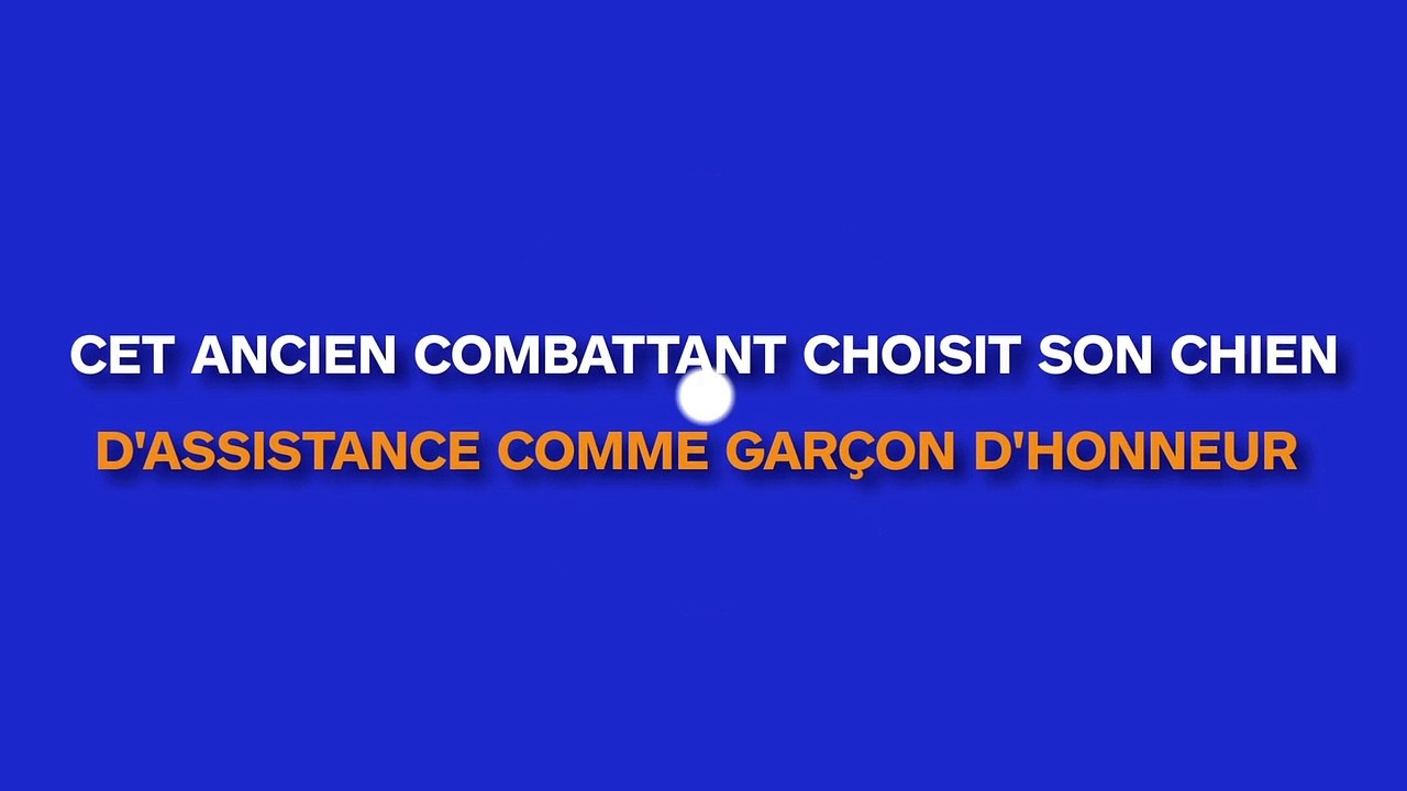 Un vétéran choisit son chien d’assistance comme témoin pour son mariage