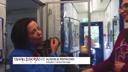 Local Legend - Alison!