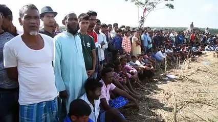 Capturan en India a elefante conocido como "Bin Laden"