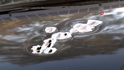 Otomobilinde silahlı saldırıya uğradı, kendi imkanı ile hastaneye gitti