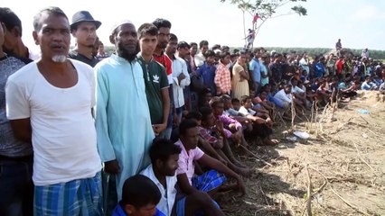 Capturan en India a elefante conocido como "Bin Laden"