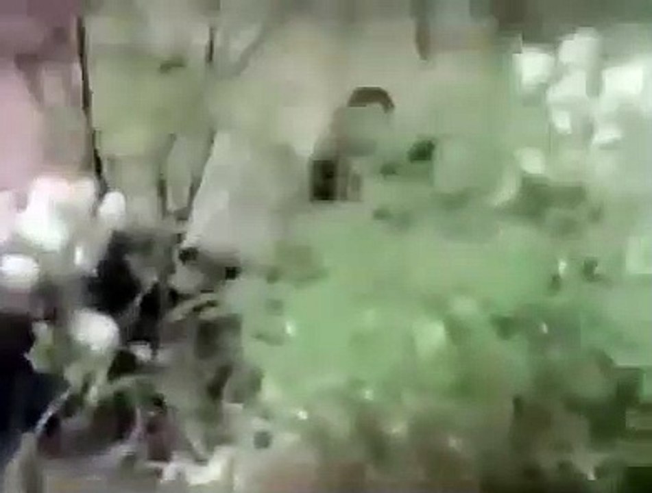 Monkey on pig | Monkey and bike | Funny monkey