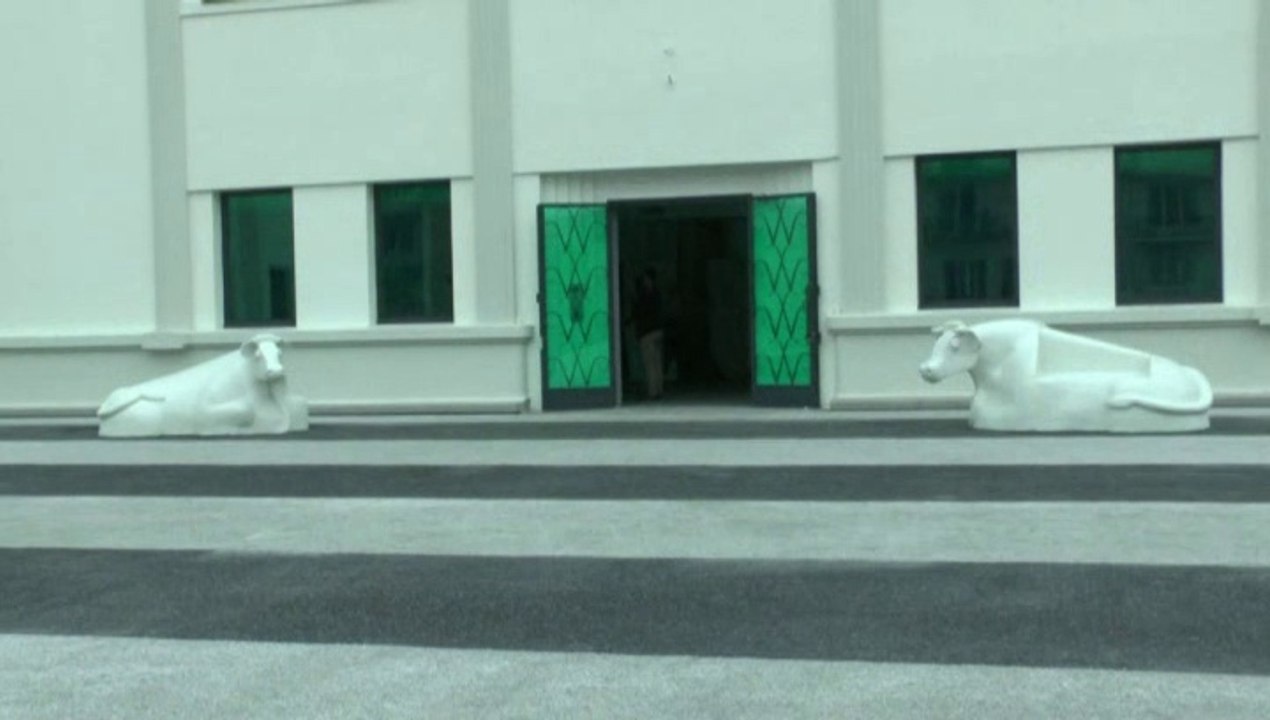 LES W-D.D. MICHOU NEWS - 18 OCTOBRE 2019 - PAU - LES PORTES OUVERTES DE L'ESPACE DES ARTS