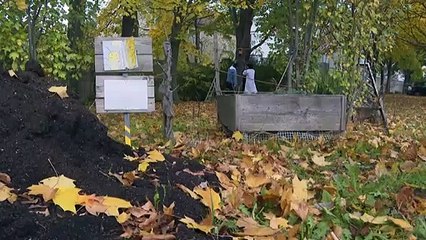 A La Courneuve, des éco-délégués agissent pour le climat "à leur échelle"