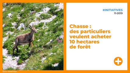 Chasse : des particuliers veulent acheter 10 hectares de forêt