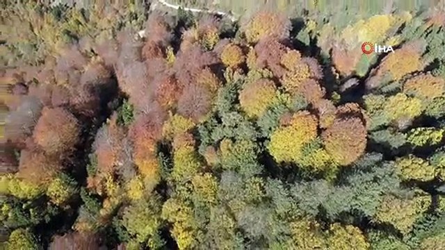 Karadeniz yaylaları sonbaharda da bambaşka